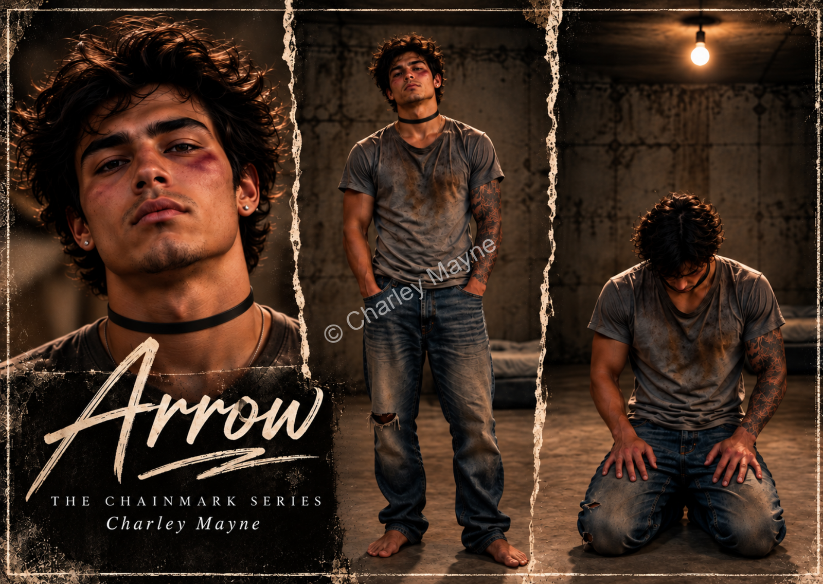 Arrow Williams | Collectible Postcard